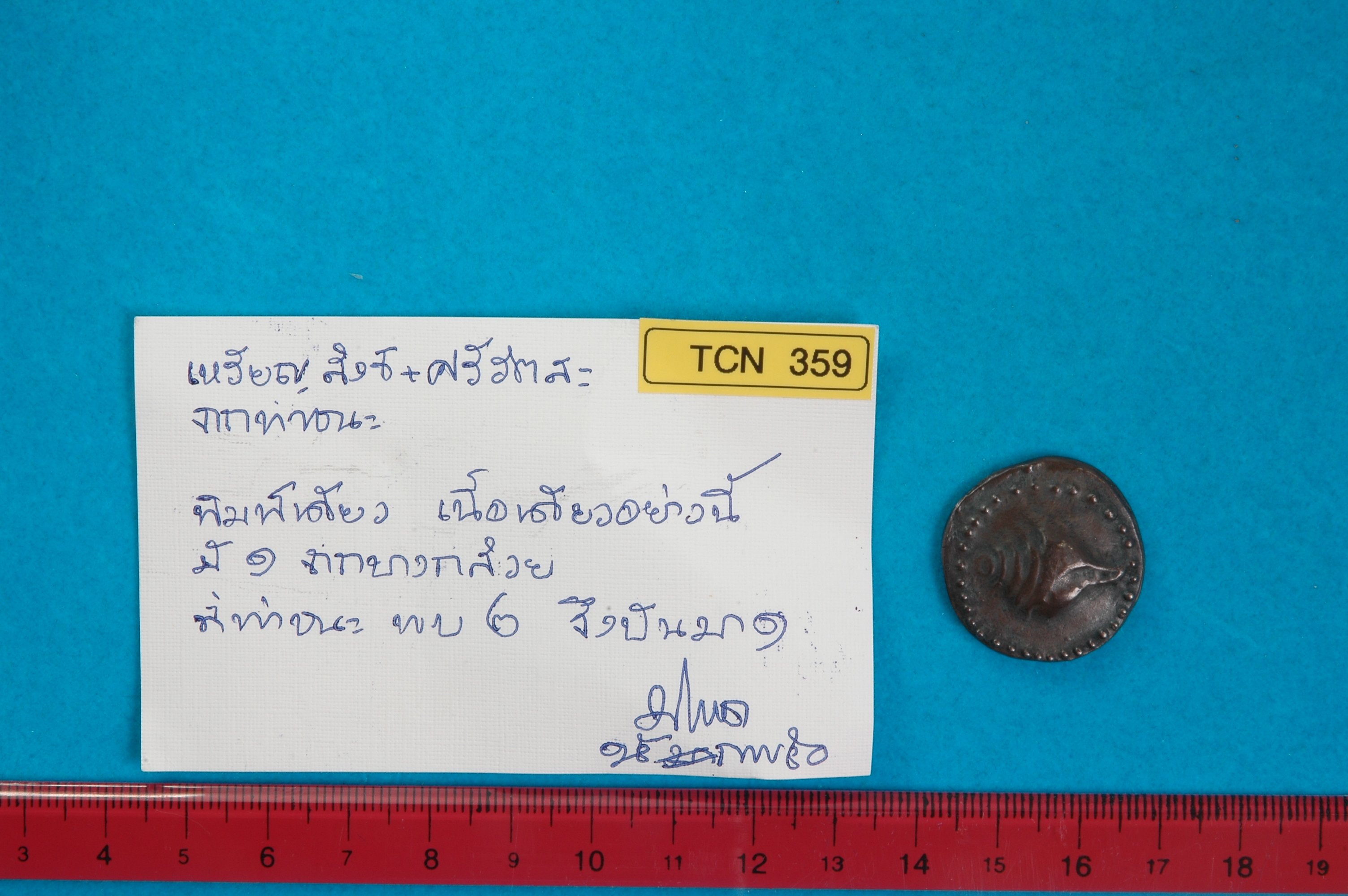 TCN 359.jpg